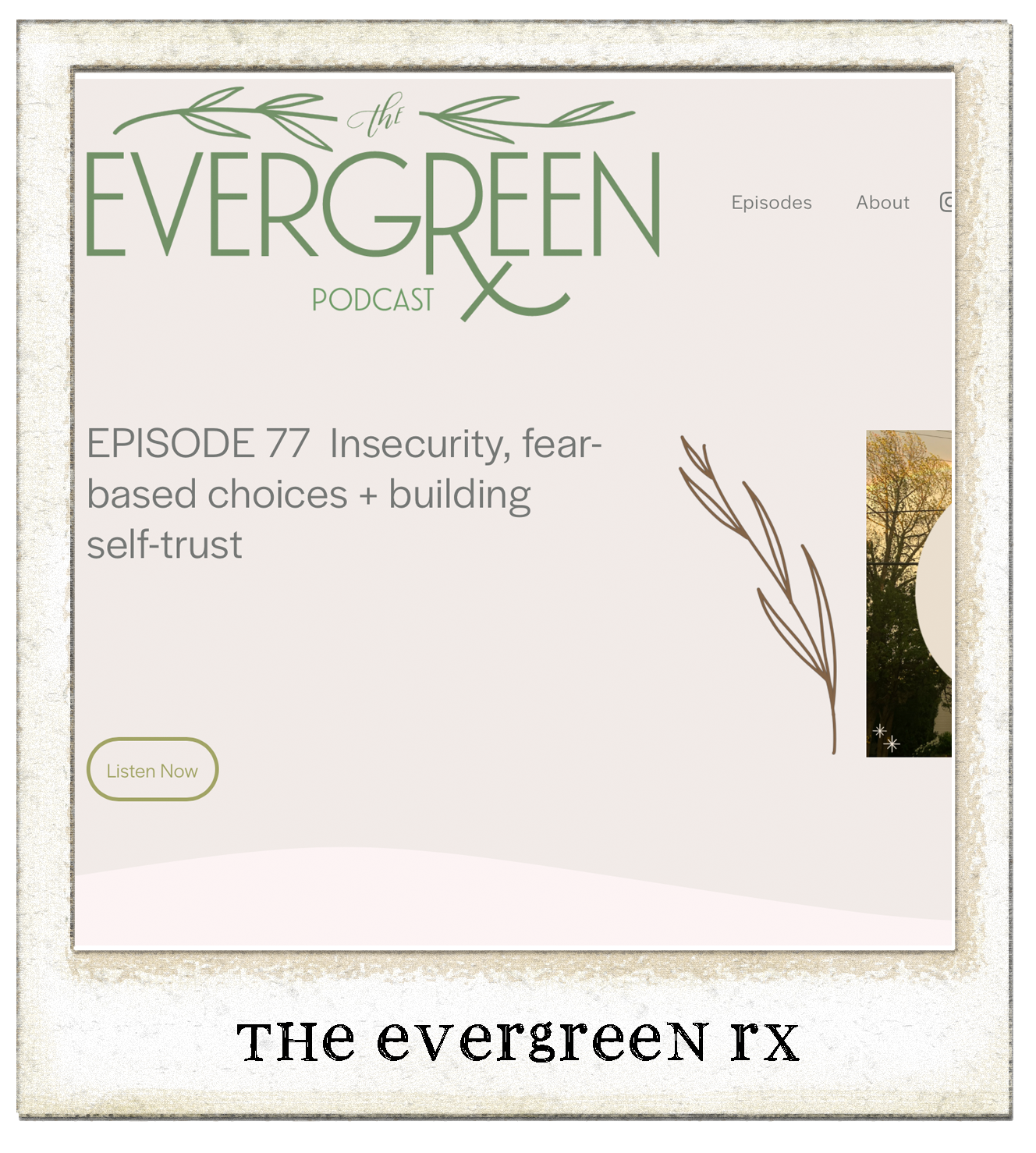 http://www.theevergreenrx.com